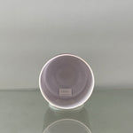 6" C-50 Kunzite Alchemy™ Crystal Bowl® Inside View