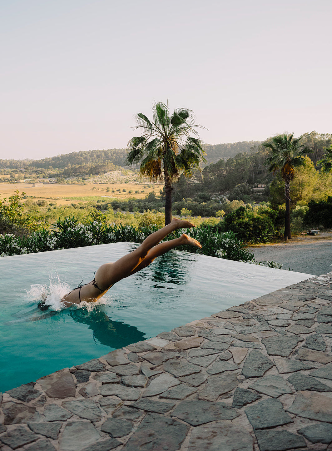 Person diving into a pool with a scenic landscape and palm trees in the background